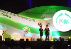 UAE Participates in COP16 Meeting