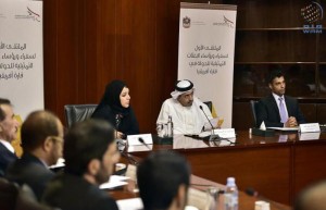 UAE Ambassadors meeting in African continent held