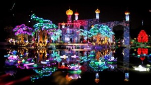 Dubai Garden Glow park opens