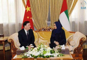UAE-China prospects of parliamentary cooperation explored