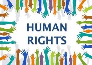Gulf human rights organizations' efforts lauded