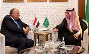  Saudi, Egyptian foreign ministers hold talks
